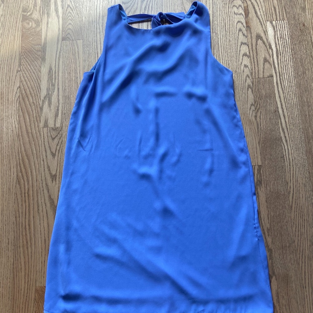 Periwinkle Dress